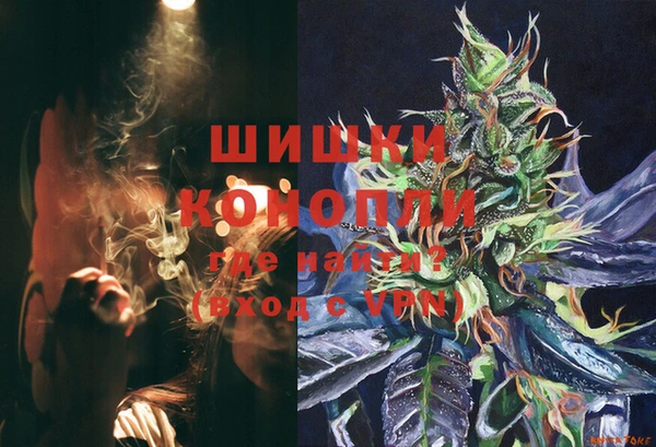 тгк Заводоуковск